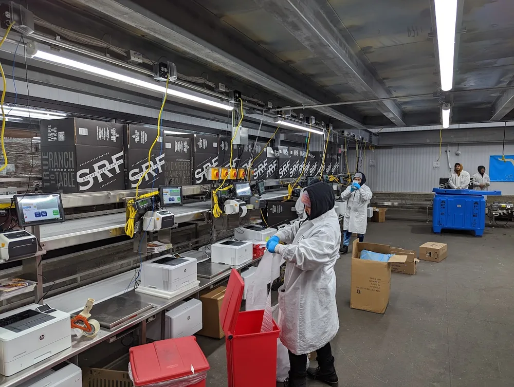 A row of networked packing stations in a chilled processing room, each with a bench scale, terminal and label printer.